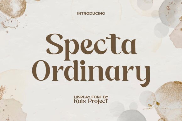 How Specta Ordinary Font Helped My Small Business Shine with Style